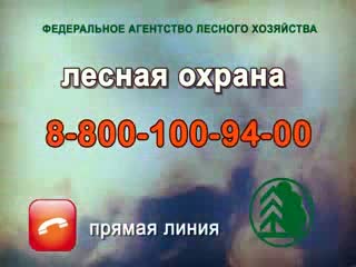 Видео по теме: